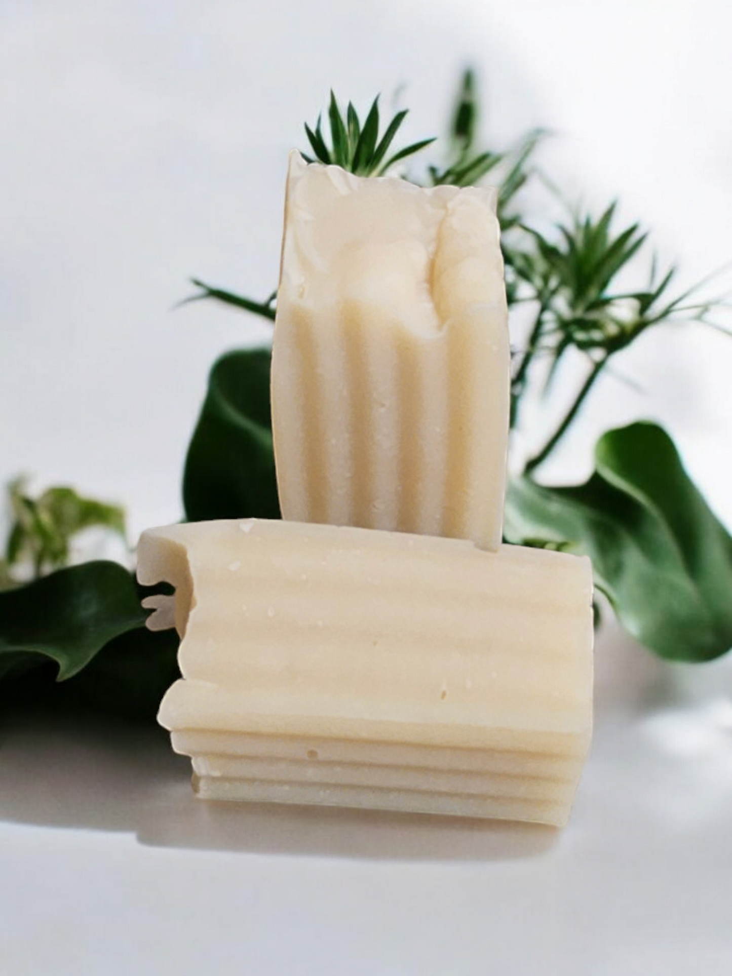Shampoo bar